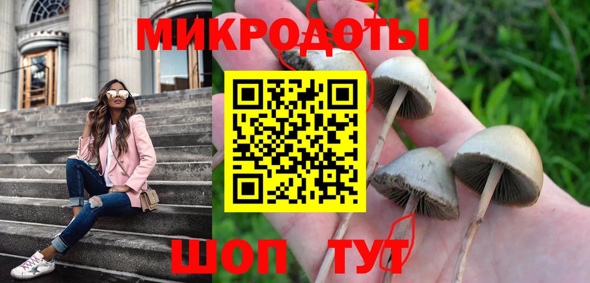 Галлюциногенные грибы ЛСД  Вход с VPN  Новокубанск  Галлюциногенные грибы Psilocybine cubensis 