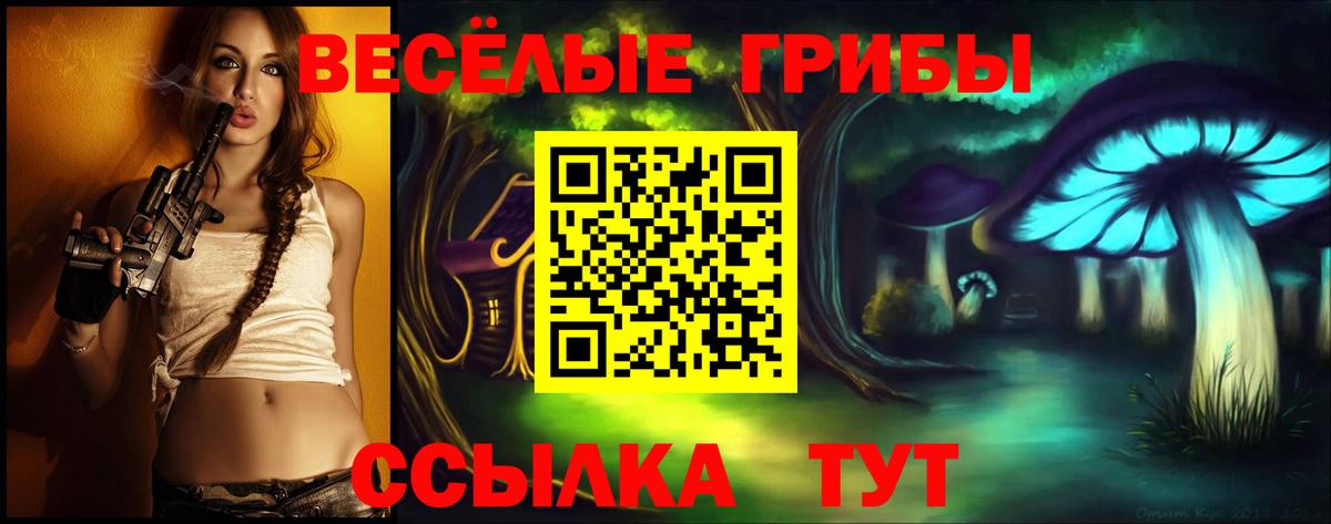 COCAIN Новокубанск