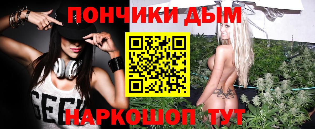 Каннабис семена  МАРИХУАНА сатива  Новокубанск  МАРИХУАНА SATIVA & INDICA  Вход с VPN 